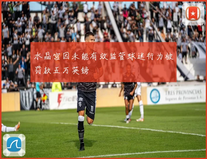 水晶宫因未能有效监管球迷行为被罚款五万英镑