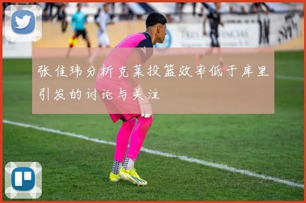 张佳玮分析克莱投篮效率低于库里引发的讨论与关注