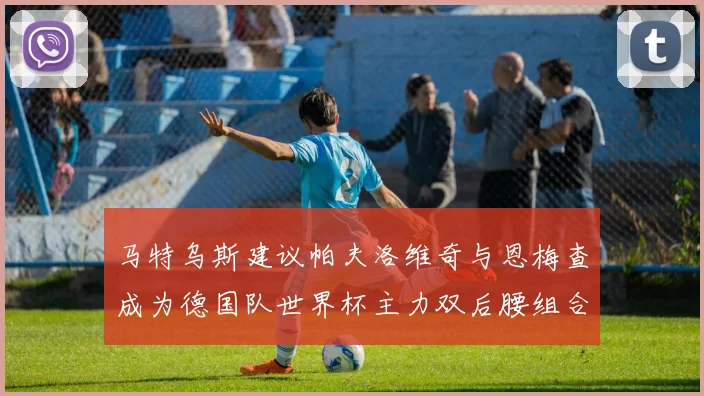 马特乌斯建议帕夫洛维奇与恩梅查成为德国队世界杯主力双后腰组合